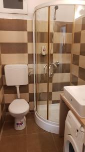 a bathroom with a shower and a toilet and a sink at Lend one room house in Miercurea-Ciuc