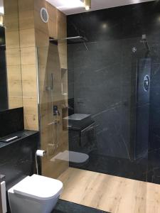 a bathroom with a toilet and a glass shower at Regatowa Przystań in Mechelinki