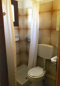 a small bathroom with a toilet and a shower at Sunshine Pension in Pythagoreio