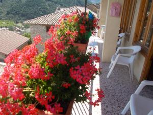 Fotografie z fotogalerie ubytování CASA LACAMBRA v destinaci Boltaña