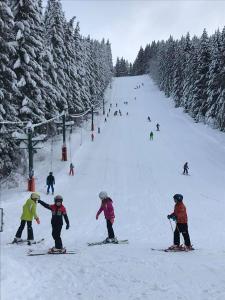 Fotografie z fotogalerie ubytování CHATA - SPORT - SKI v destinaci Kořenov