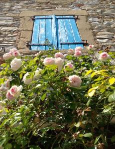 une fenêtre avec des roses roses devant un bâtiment dans l'établissement L'Autre Maison, à Saint-Jean-de-Ceyrargues