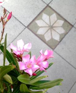 un ramo de flores rosas delante de un suelo de baldosa en L'Autre Maison, en Saint-Jean-de-Ceyrargues