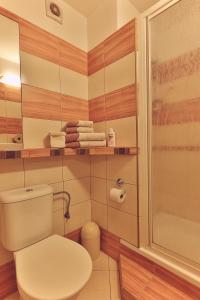 Kúpeľňa v ubytovaní Holiday Resort Švárny