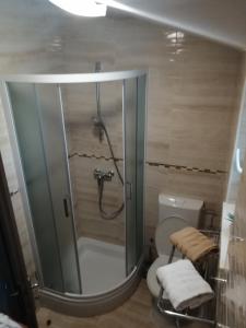 uma casa de banho com um chuveiro e um WC. em Fortuna em Slivnica