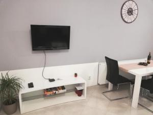 TV a/nebo společenská místnost v ubytování Apartman Pampas Osijek