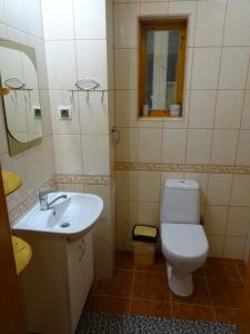 ein Badezimmer mit einem weißen WC und einem Waschbecken in der Unterkunft Біля лісу Апартименти з двома спальнями in Slawske
