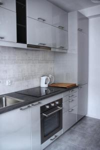 a kitchen with stainless steel appliances and a sink at Apartamenty Polanka in Poznań