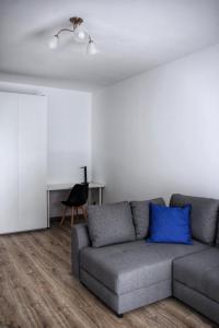 a living room with a couch with a blue pillow at Apartamenty Polanka in Poznań