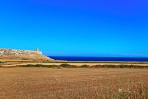 un campo con l’oceano sullo sfondo di Agriturismo Masseria Terra D'Otranto a Otranto