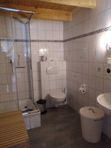 ベンサージールにあるFerienwohnung im Landhaus Bensersiのバスルーム(トイレ、シャワー、シンク付)