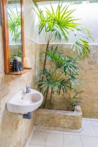 baño con lavabo y planta en Bunaken Divers Sea Breeze Resort en Bunaken