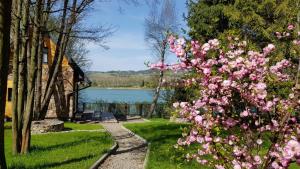 um jardim com flores cor-de-rosa e um lago ao fundo em Willa Na Werlasowym Żbyrze em Werlas