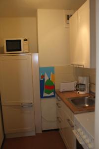 een kleine keuken met een koelkast en een magnetron bij Ferienwohnung da Luz in Travemünde
