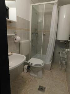 a bathroom with a toilet and a shower and a sink at Babamúzeum kis apartman in Tihany