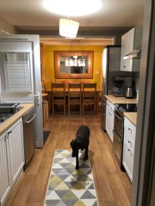 a dog standing in the middle of a kitchen at Linmore in Aviemore