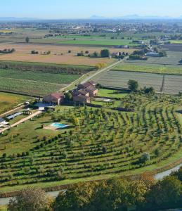z góry widok na gospodarstwo z winoroślą w obiekcie La Foresteria di Borgogelsi Apartments w mieście Sanguinetto