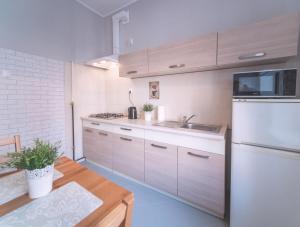 Kuchyň nebo kuchyňský kout v ubytování Apartament Staroofka
