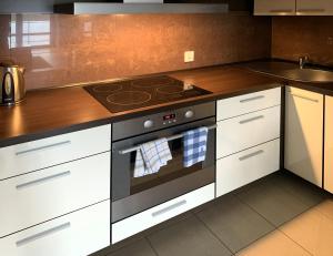 Kuchnia lub aneks kuchenny w obiekcie Apartament Tit Aquarius Spa