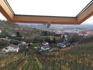 uma vista para uma vinha a partir de uma janela de uma adega em Brunarica Čontoš em Lendava