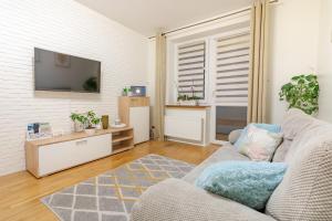 Μια τηλεόραση ή/και κέντρο ψυχαγωγίας στο Apartament Optima