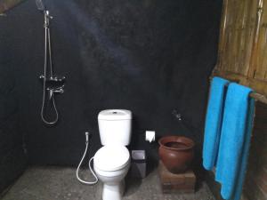 La salle de bains est pourvue d'une douche et de toilettes. dans l'établissement Bali mountain forest cabin, à Penebel