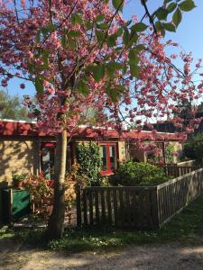 ネスにあるBrissagoの塀とピンクの花の木のある家
