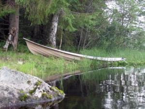 un barco sentado a un lado de un cuerpo de agua en Holiday Home Liisan pirtti by Interhome, en Äänekoski