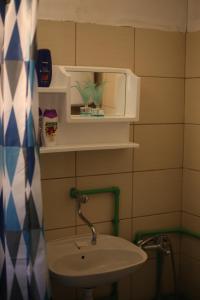 ein Badezimmer mit einem Waschbecken und einem Regal darüber in der Unterkunft Forest Lodge on the Pyramid in Visoko