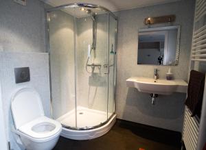 La salle de bains est pourvue d'une douche, de toilettes et d'un lavabo. dans l'établissement Pension de Wadvaarder, à Midsland