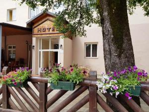 Gallery image of Hotel Dulovic in Mojkovac