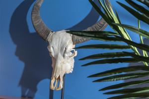 Fotografie z fotogalerie ubytování Ziggy Blues v destinaci Arrecife