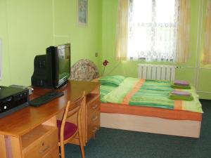 a bedroom with a desk with a computer and a bed at Pension Doctor in Dvůr Králové nad Labem