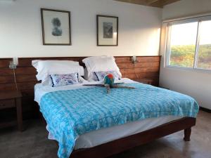 a bedroom with a bed with a parrot sitting on it at Turtles Nest Villa in Treasure Beach +78 photos