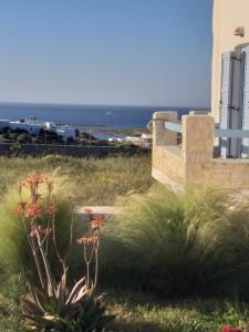 Příroda nedaleko vily