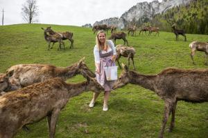 Állatok a vendégházban vagy a közelben