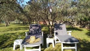 two chairs and a table with wine glasses in the grass at Rooms Ive in Lozovac
