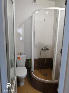ソチにあるВодолейの小さなバスルーム(トイレ、シャワー付)