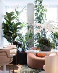 een kamer met planten en een tafel en stoelen bij Hôtel Parisianer in Parijs