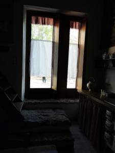 カスティリオーネ・ドルチャにあるantico teatroの犬を飼う部屋の窓