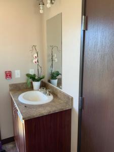 a bathroom sink with two potted plants on it at Karbani Inn in Carlsbad