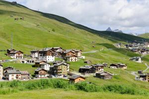un piccolo villaggio su una collina verde con case di BLUE MOON APARTMENTS a Livigno