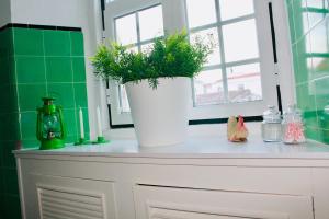 a plant sitting on top of a cabinet in a bathroom at Casa Morgado do Casco in Estremoz +28 photos