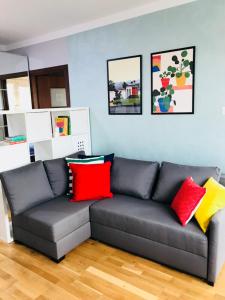 a gray couch with colorful pillows in a living room at Słoneczne Skorosze in Warsaw