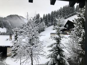 a snow covered yard with trees and a cabin at Chalet LYS Apartment 14 Rue Sigma in Champoussin