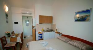 Kuchyň nebo kuchyňský kout v ubytování STUDIO APARTMAN STARA BAŠKA