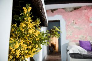 a bunch of yellow flowers hanging from a wall at Giamevi House in Vignanello