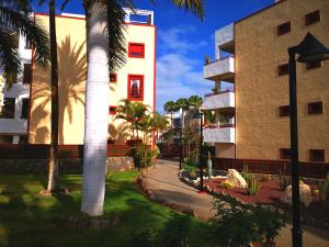 a building with a palm tree next to a street at Beautiful Apartment in Palm-mar