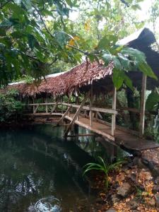a hut with a bridge over a river at Tortugal Boutique River Lodge in Río Dulce
