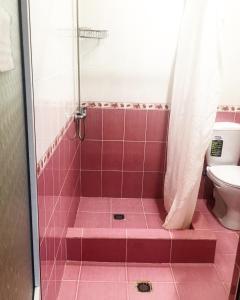 アドレルにあるGuest house on Kamyshovaya 12 aのピンクのタイル張りのバスルーム(トイレ付)